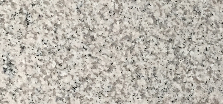 GRANITO GRIS SAL